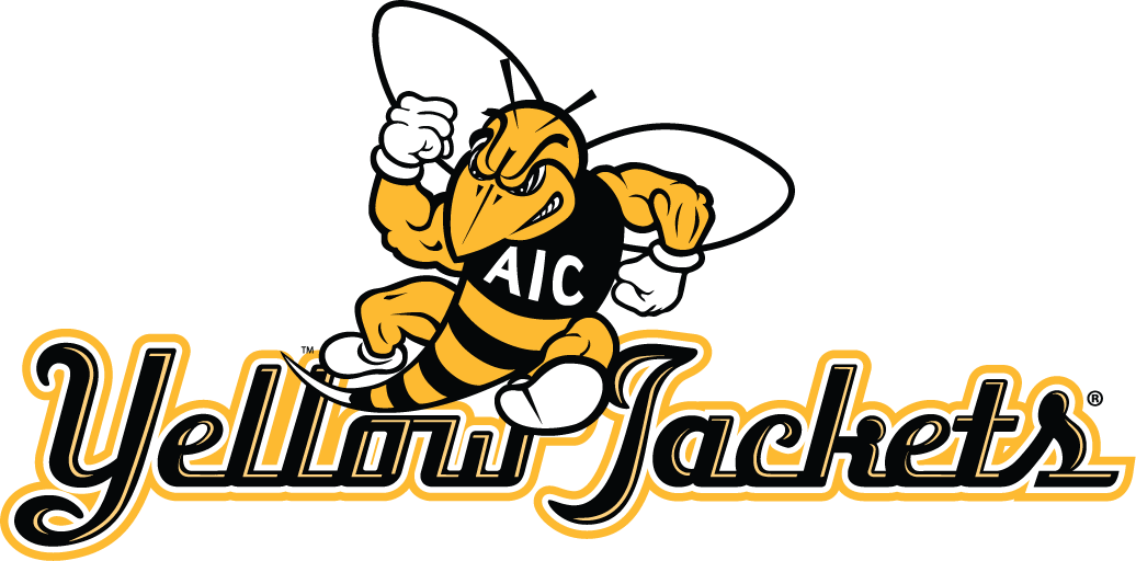 aic yellow jackets 2009-pres alternate logo v5 diy iron on heat transfer
